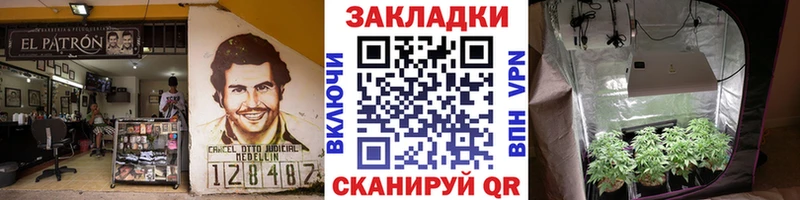 Виды наркотиков купить Кинешма Амфетамин Cocaine Alpha PVP