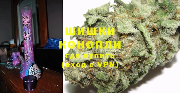 PSILOCYBIN Абаза