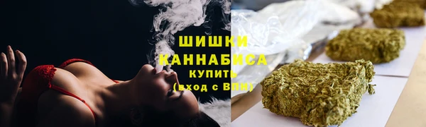 PSILOCYBIN Абаза