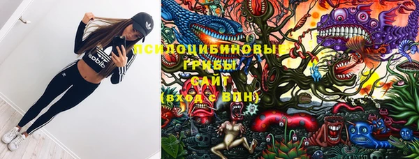 PSILOCYBIN Абаза