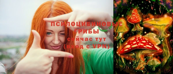PSILOCYBIN Абаза