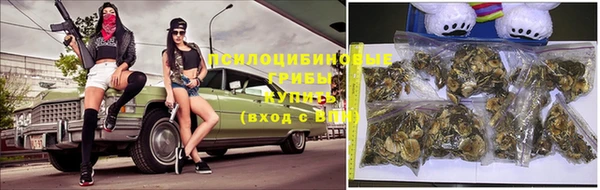 PSILOCYBIN Абаза
