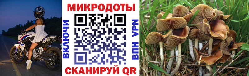 mega зеркало  Кинешма  Псилоцибиновые грибы прущие грибы 