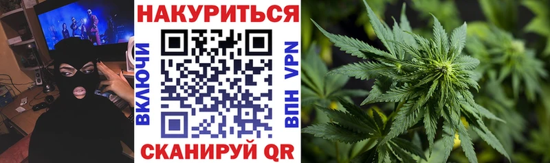 площадка как зайти  Кинешма  Каннабис ГИДРОПОН 